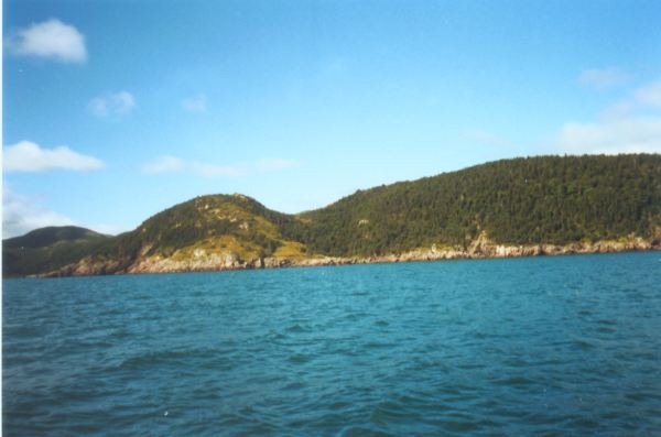 571: Red Island. ""The back Herring Point"". (2002) [courtesy of Heather Walsh]  [This series of photos comprises a trip around Red Island. Please advise if any of the  pictures out of order.]